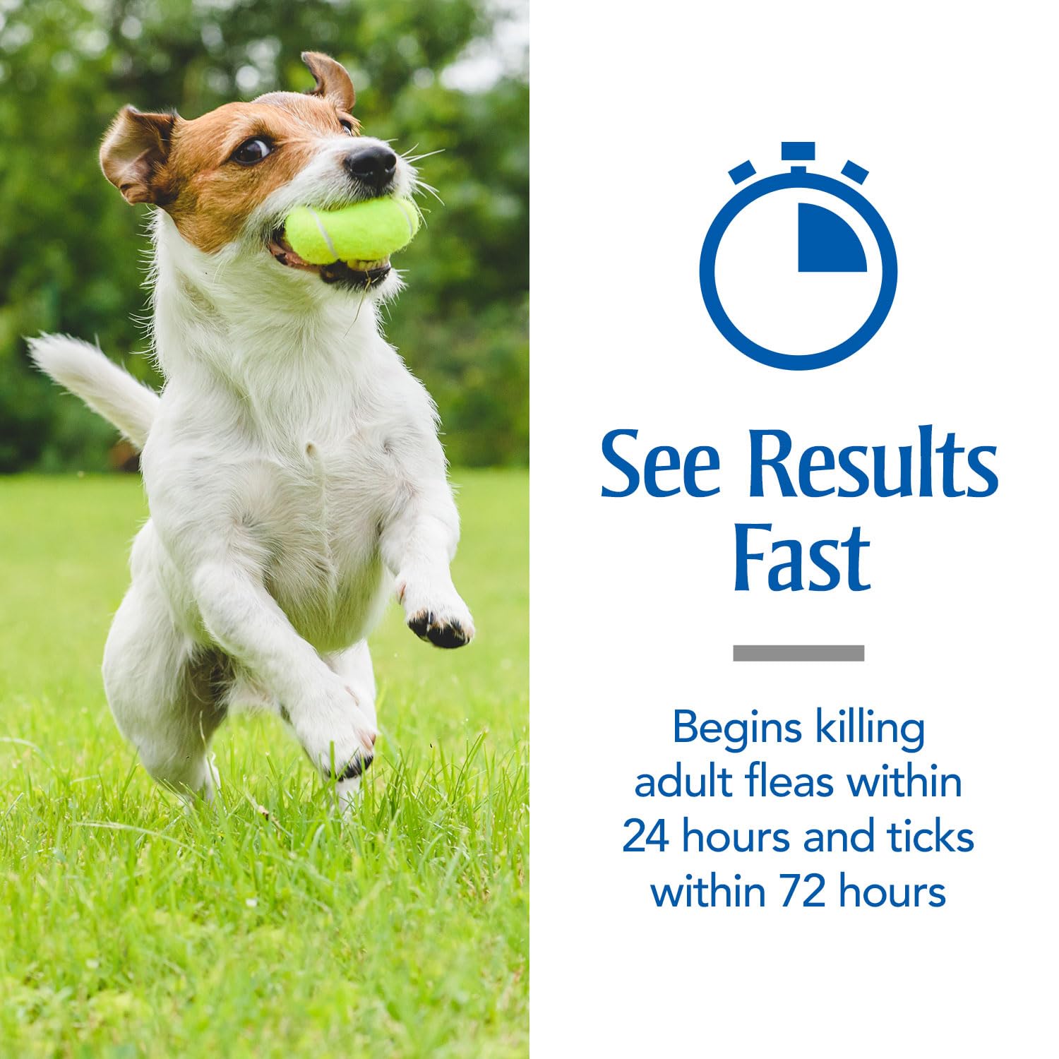 PetArmor waterproof flea and tick treatment for dogs remains effective after baths.
