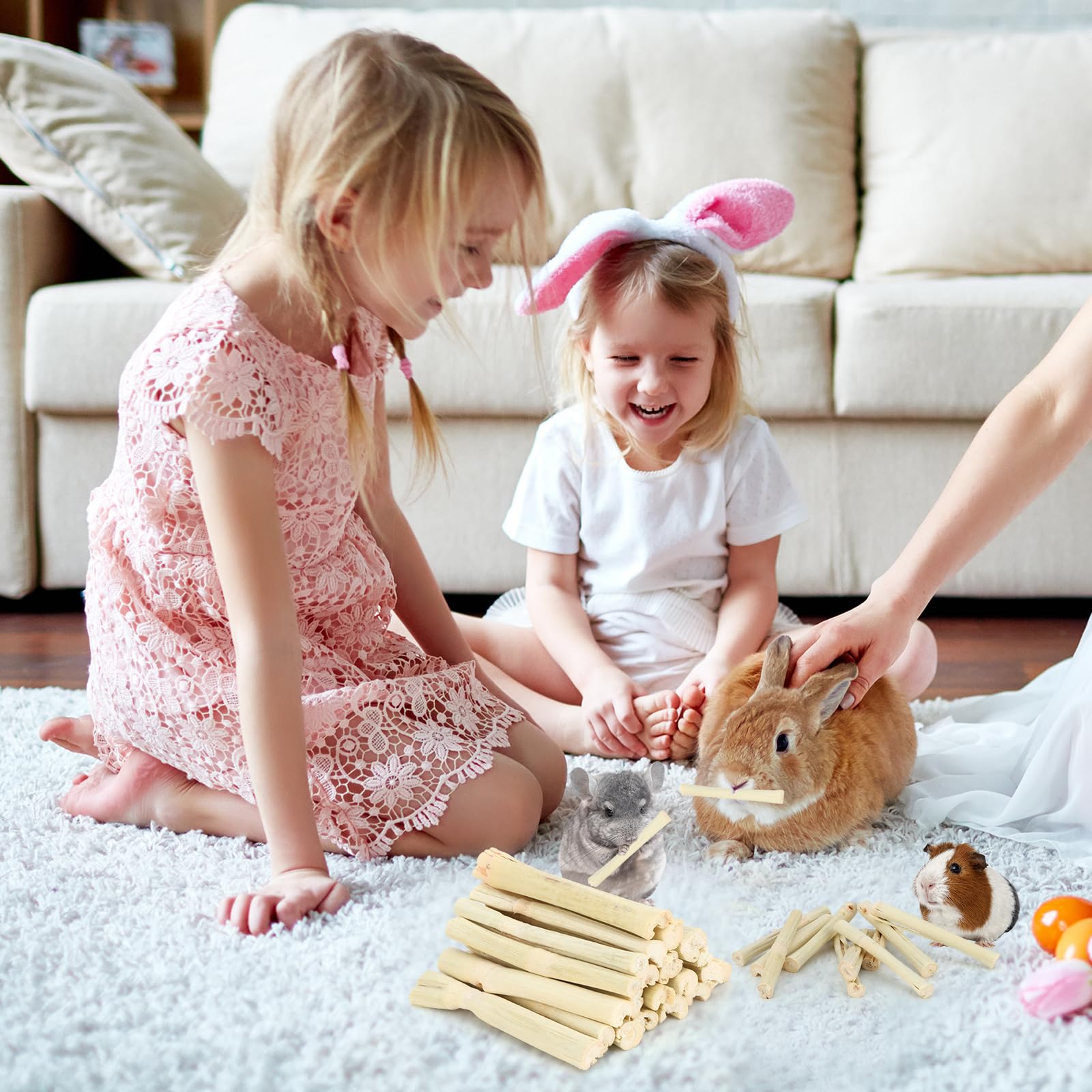 Petawi bamboo sticks help trim teeth and reduce boredom during play.