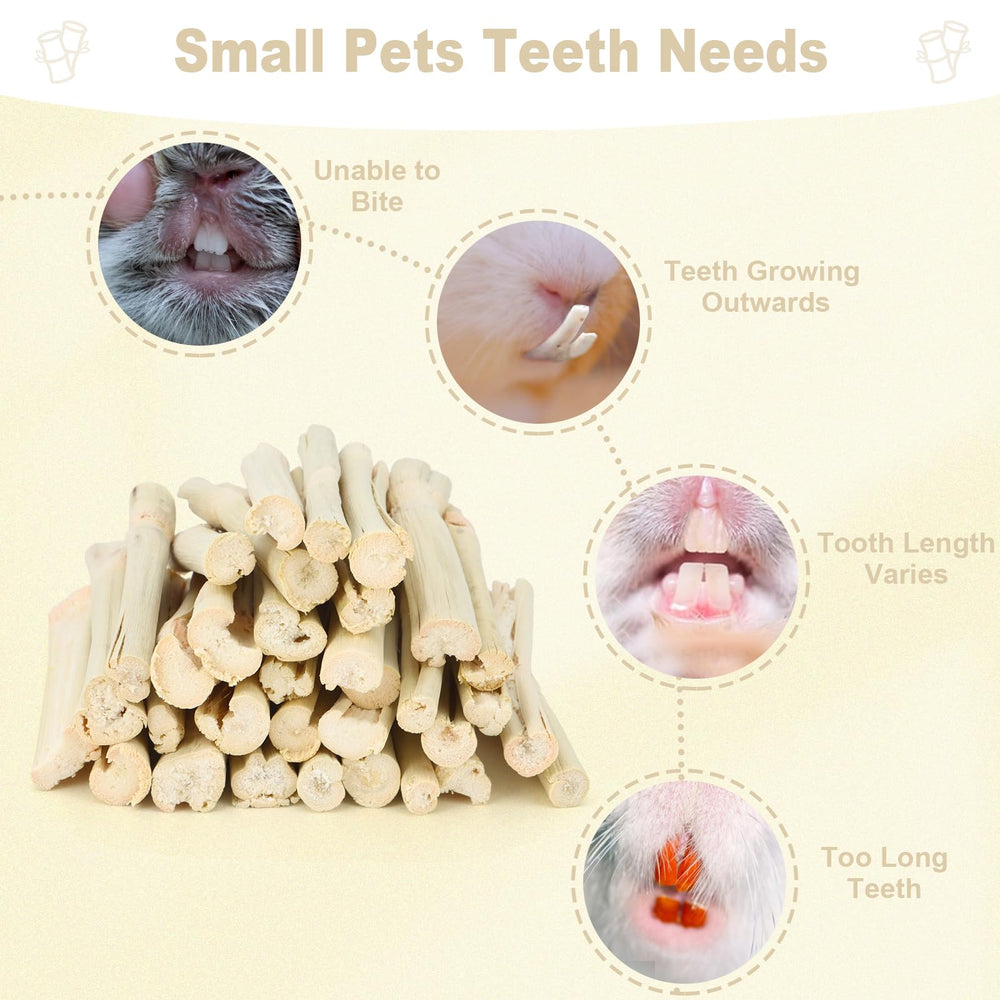 Petawi sweet bamboo sticks provide fresh chewing fun for small animals.