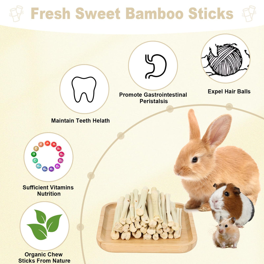 Petawi sweet bamboo sticks harvested from natural environment for clean chewing.