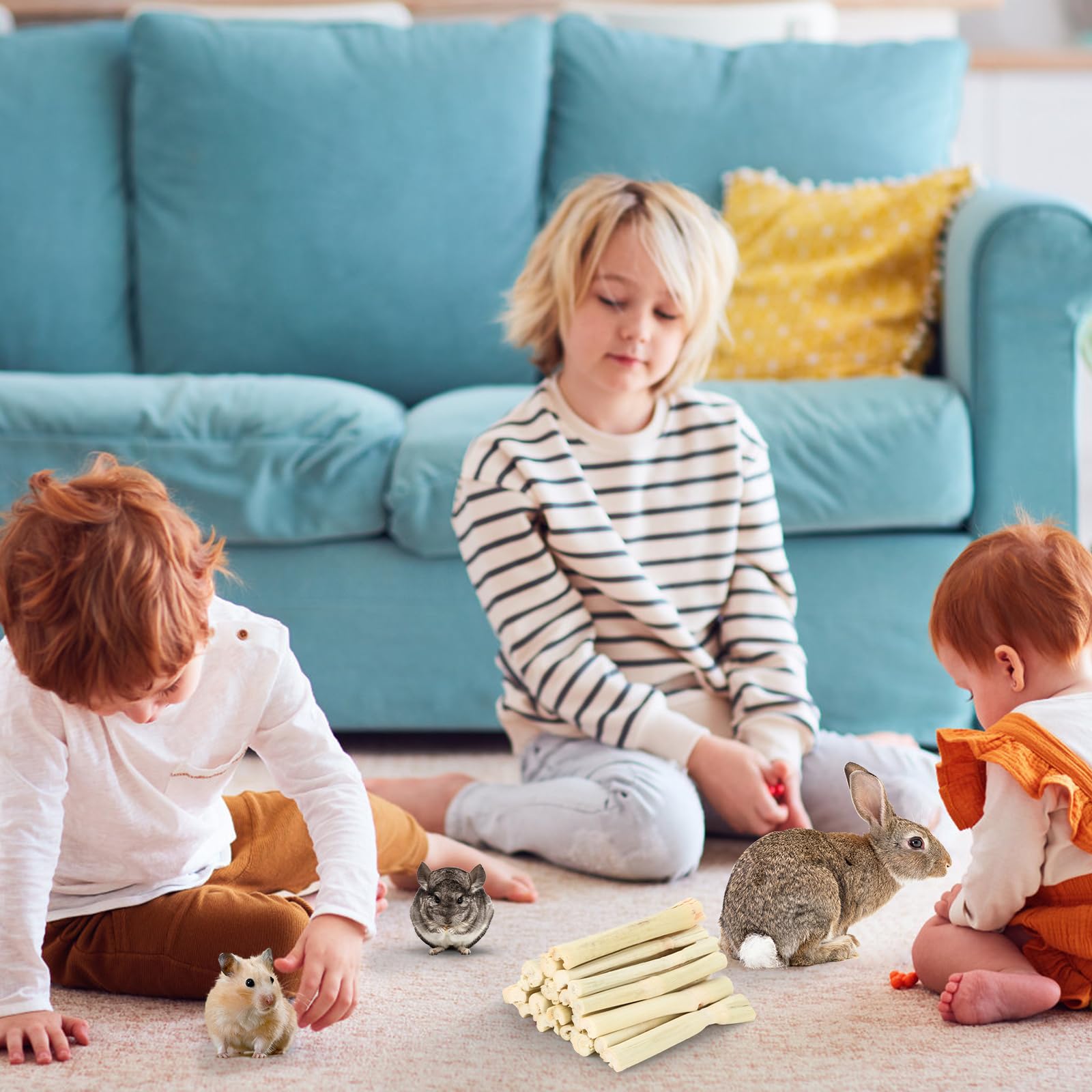 Petawi sweet bamboo sticks are a natural teething toy for rodents.