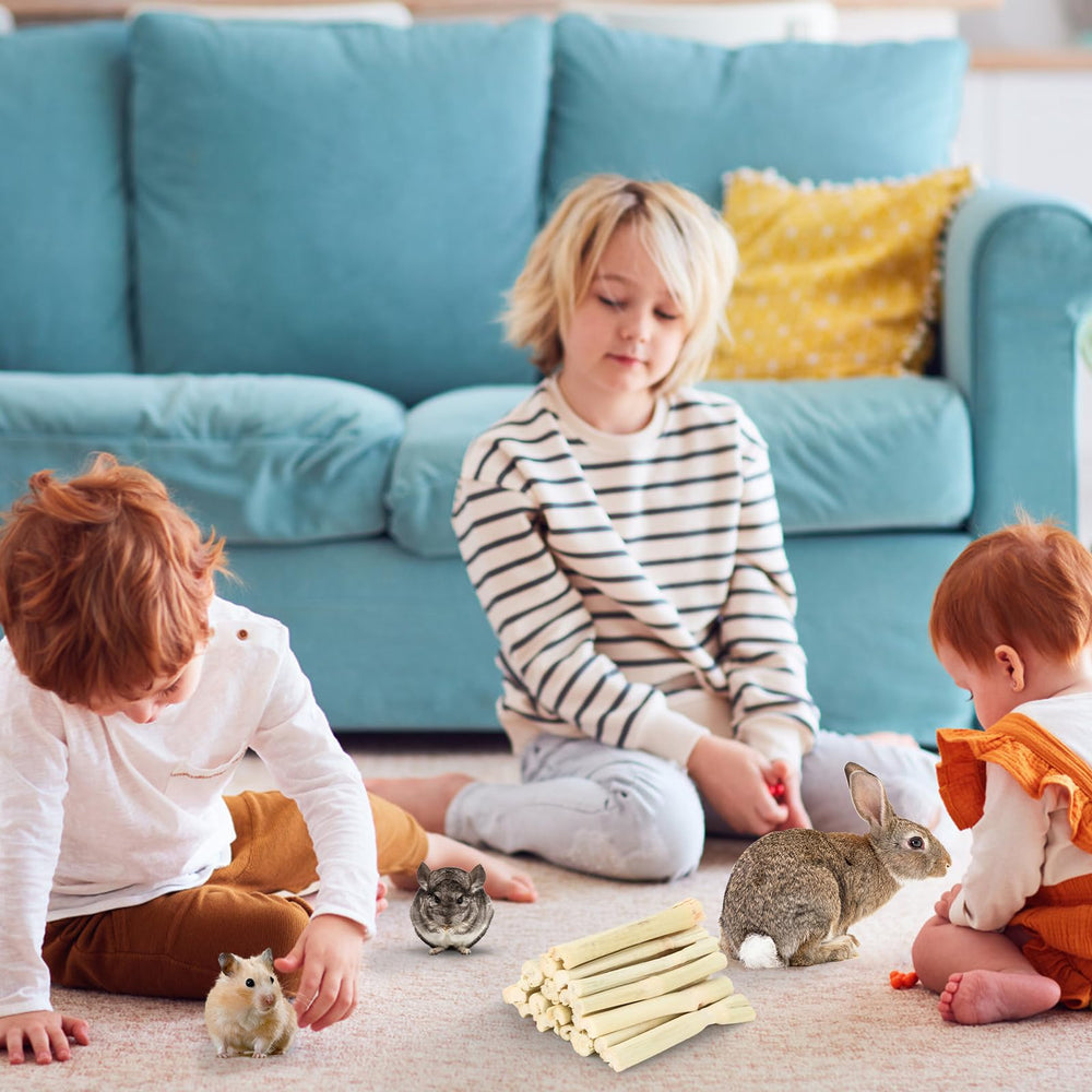 Petawi sweet bamboo sticks are a natural teething toy for rodents.