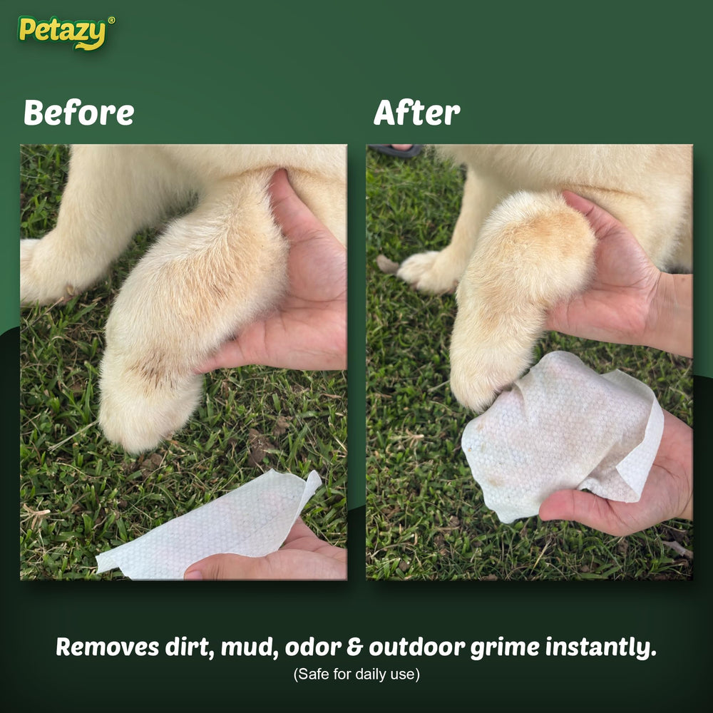 Petazy wipes for dogs and cats suitable for daily cleaning