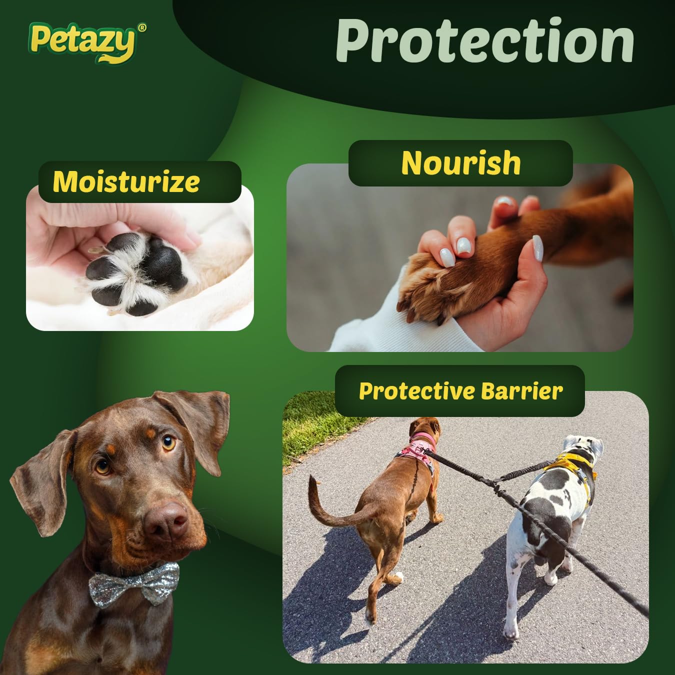 Paw pads protected against rough surfaces with Petazy balm