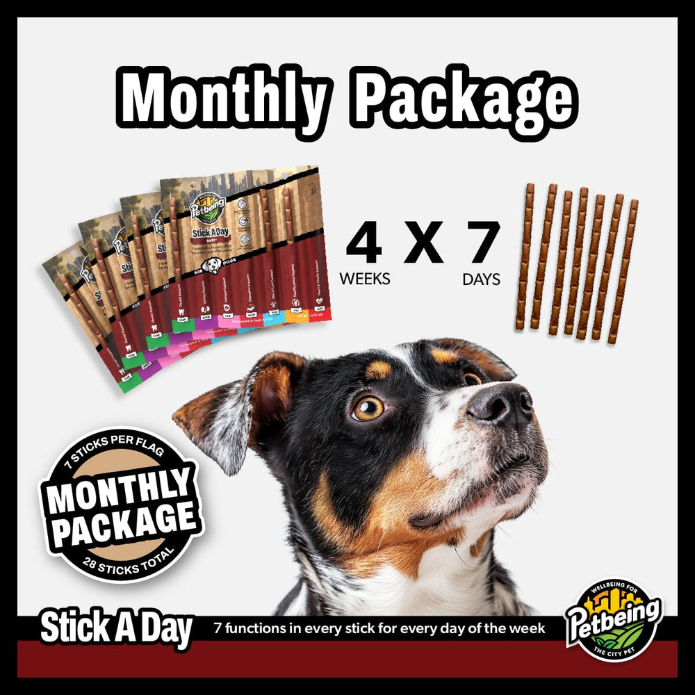 PETBEING Stick a Day European-made quality stamp underscores premium ingredients.