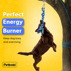 Petbobi Bungee Dog Toy demonstrates durable rope and spring for powerful pulls.