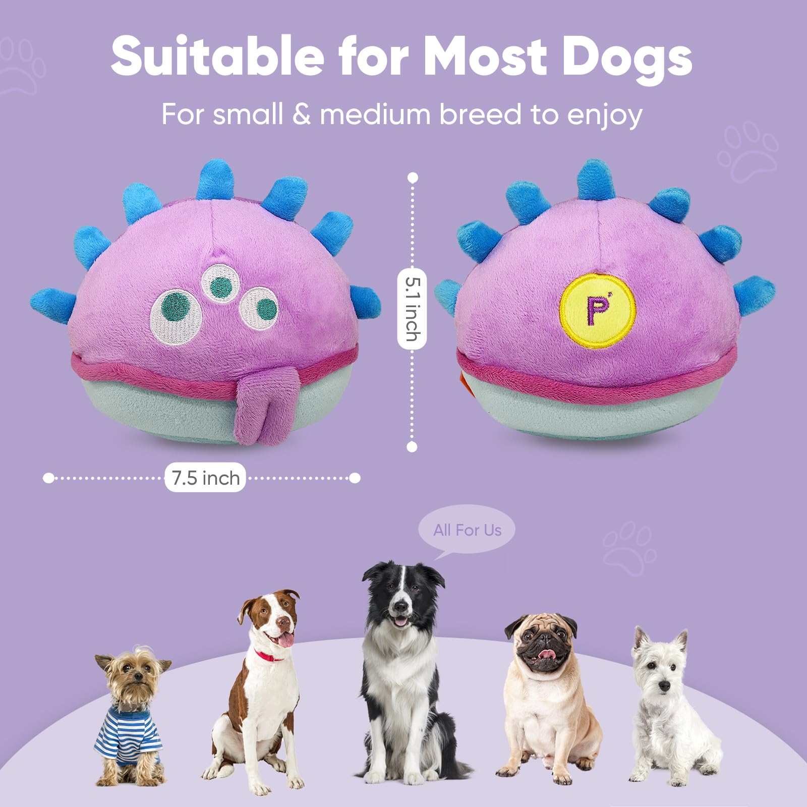 Petbobi bouncing action boosts curiosity and light exercise during play