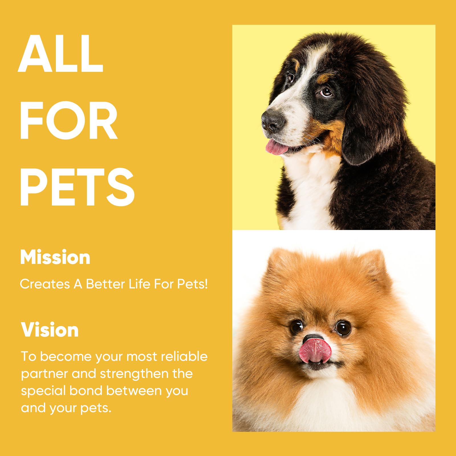 Petbobi leash helps manage large dogs up to 300 lbs