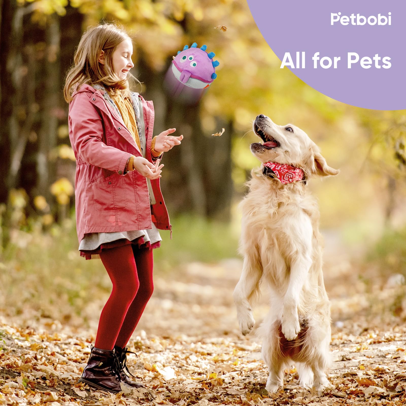 Petbobi two-way playtime strengthens bond through shared fun
