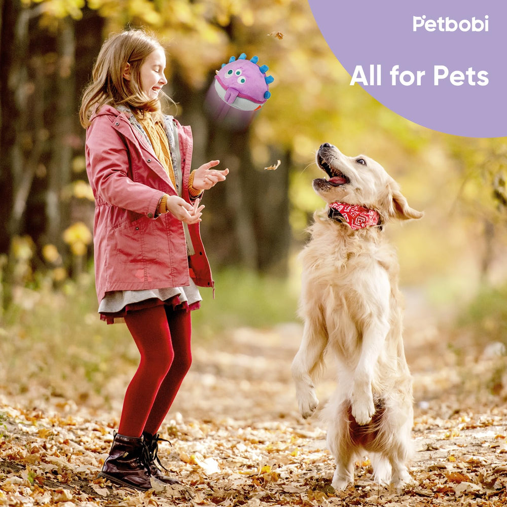 Petbobi two-way playtime strengthens bond through shared fun