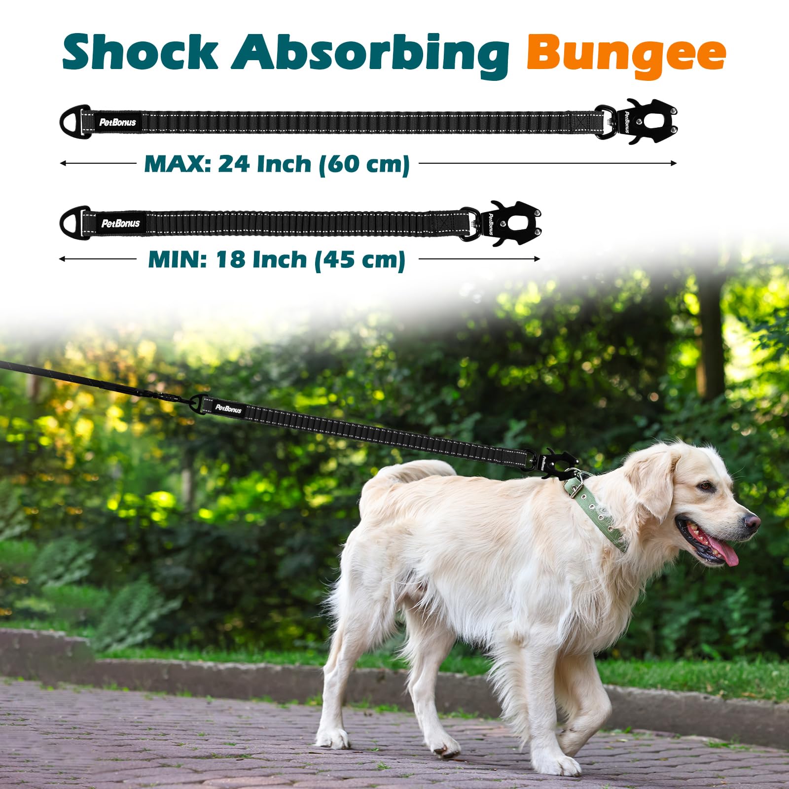 PetBonus Bungee Leash Extension 18 to 24 inch length for flexible control on walks
