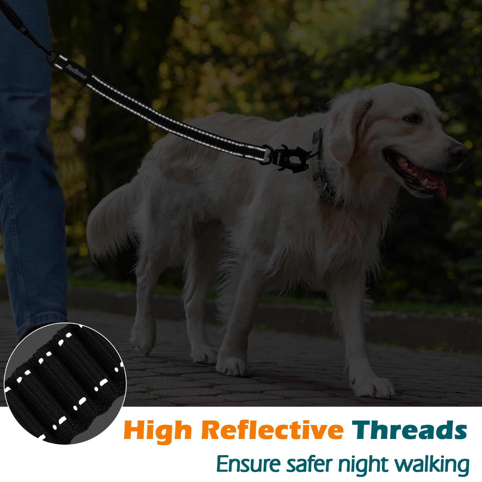 PetBonus Bungee Leash Extension reflective stitching for night visibility