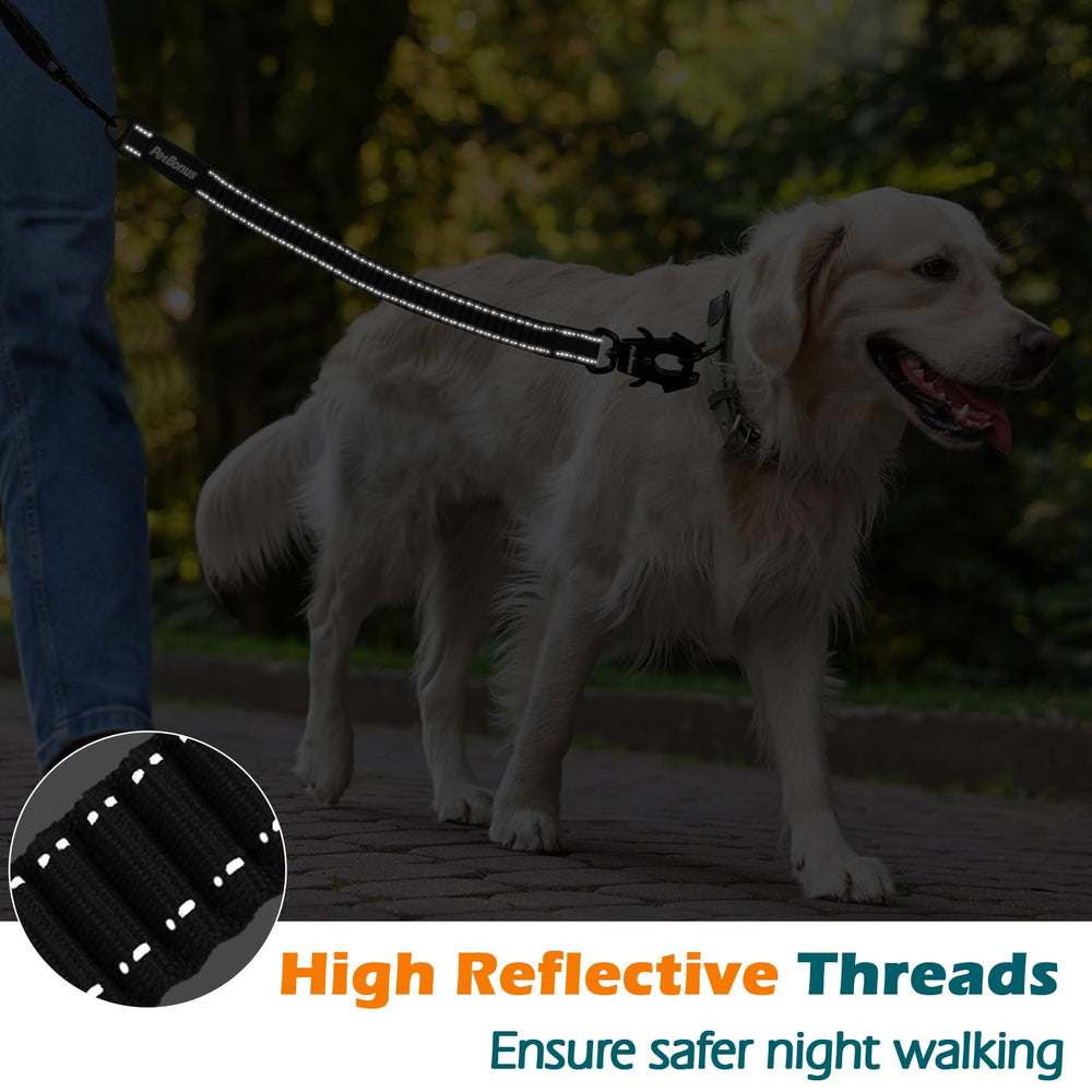 PetBonus Bungee Leash Extension reflective stitching for night visibility