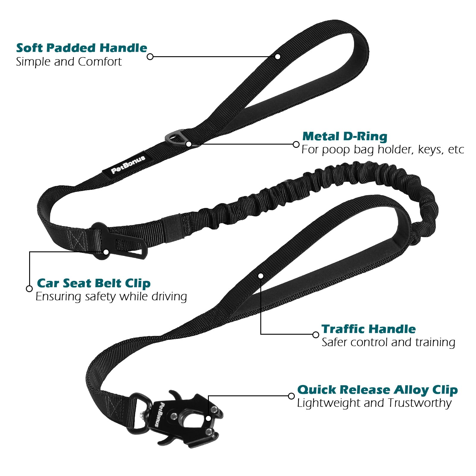 PetBonus D-ring for attaching accessories during walks.