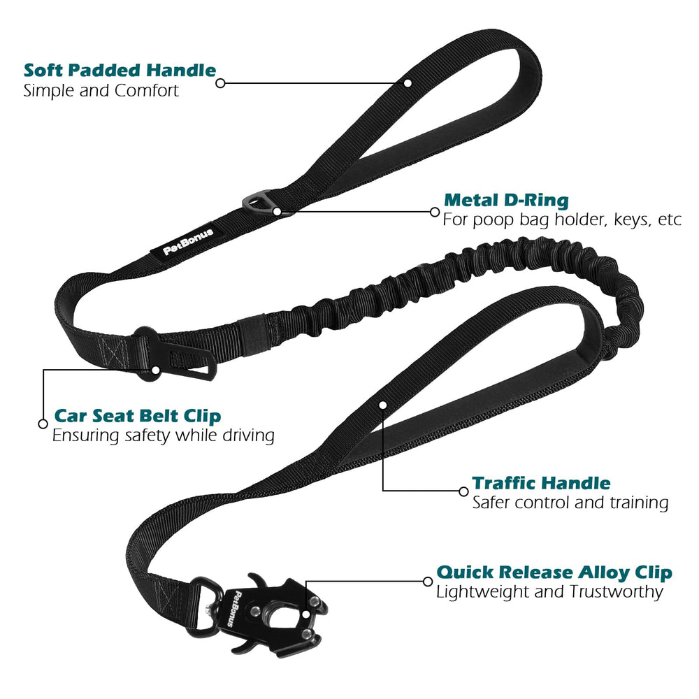 PetBonus D-ring for attaching accessories during walks.