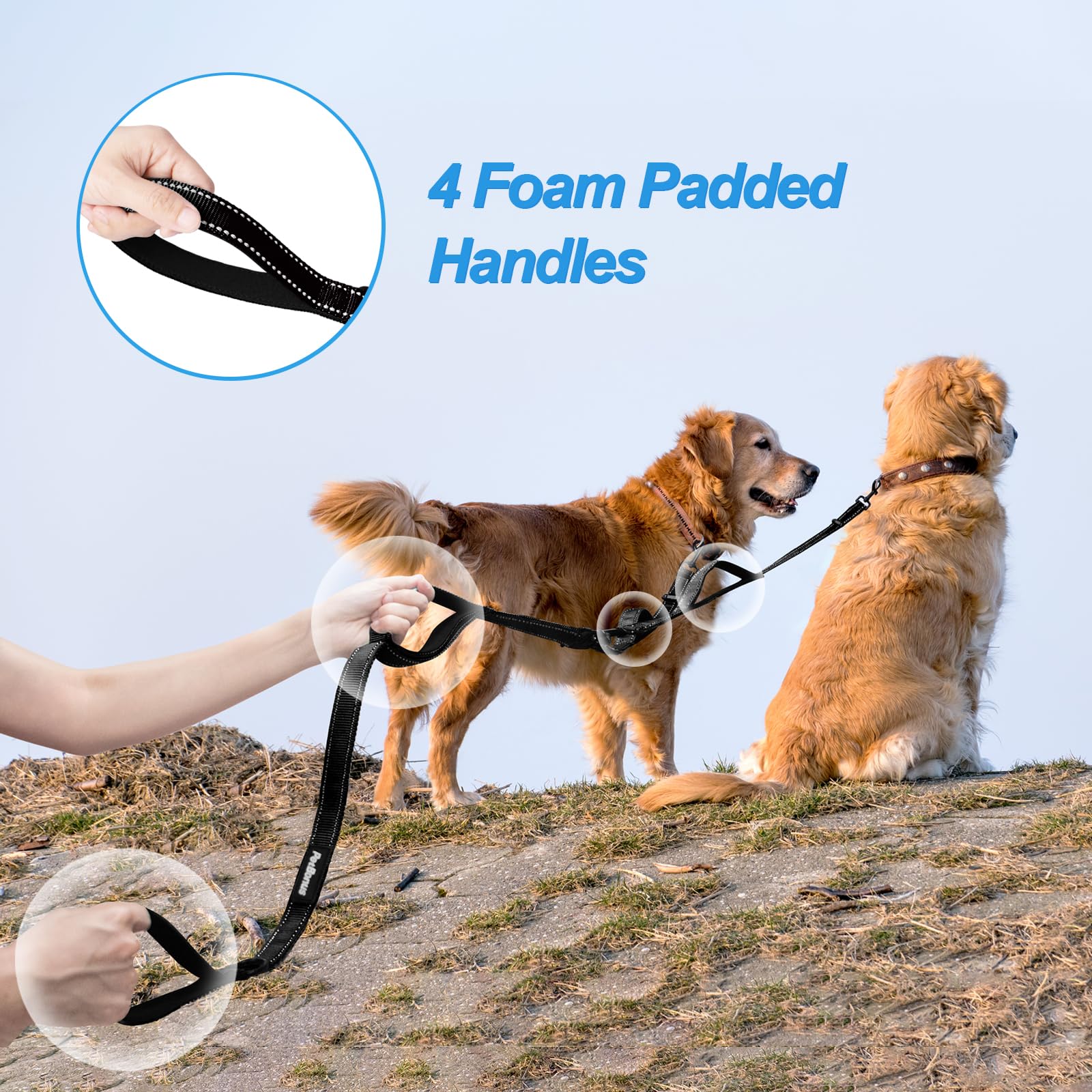 PetBonus collapsible bowl included for convenient hydration on the go.