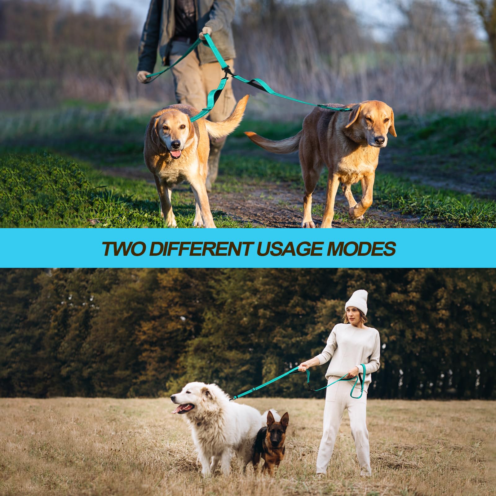 PetBonus collapsible bowl for easy dog hydration on the go.