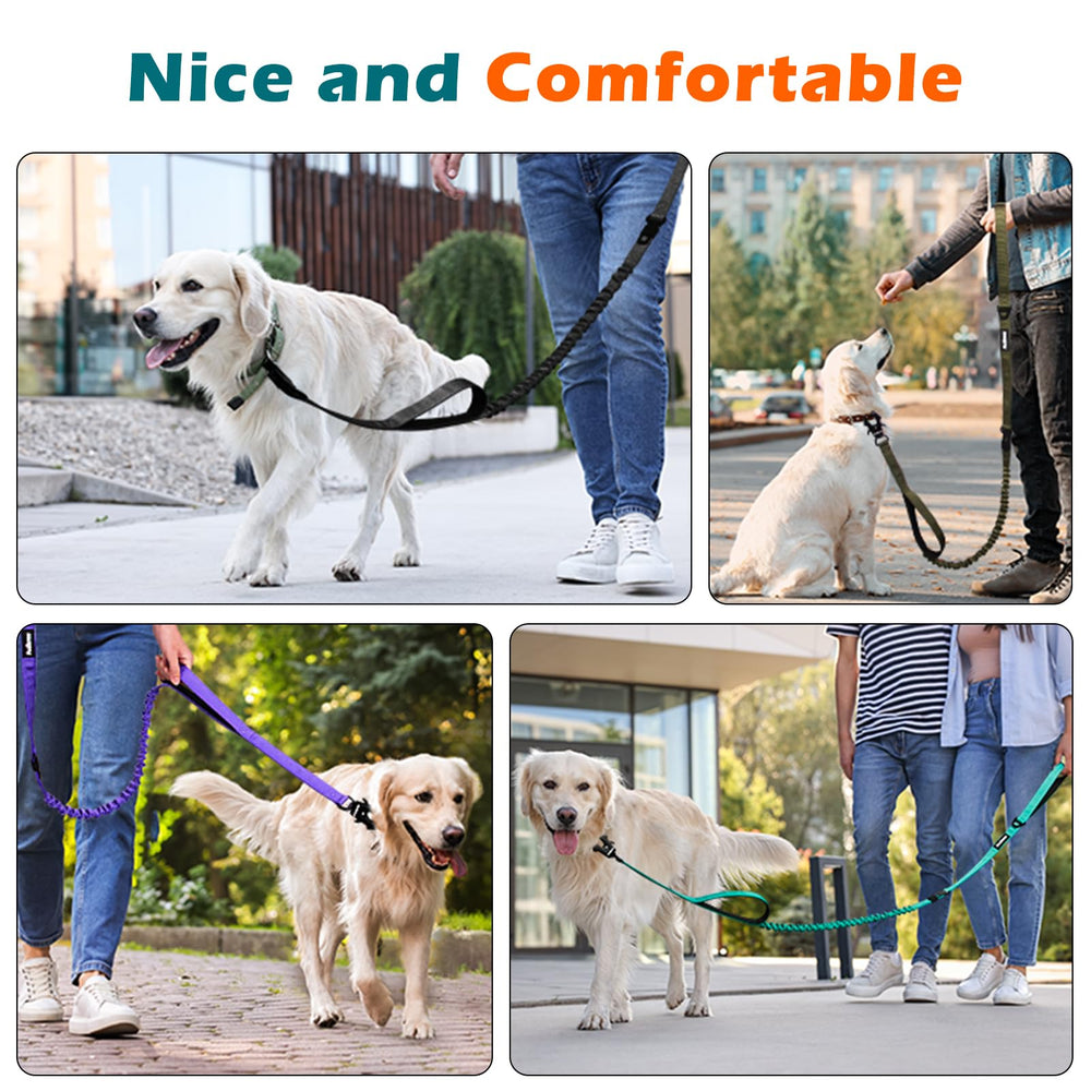 PetBonus leash used in urban park for reliable control.