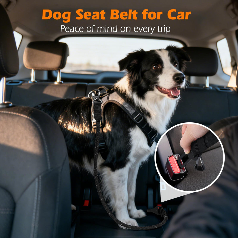 PetBonus 3ft length keeps dogs safely back in the seat with controlled freedom.
