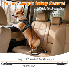 PetBonus heavy-duty materials offer durable restraint for long journeys.