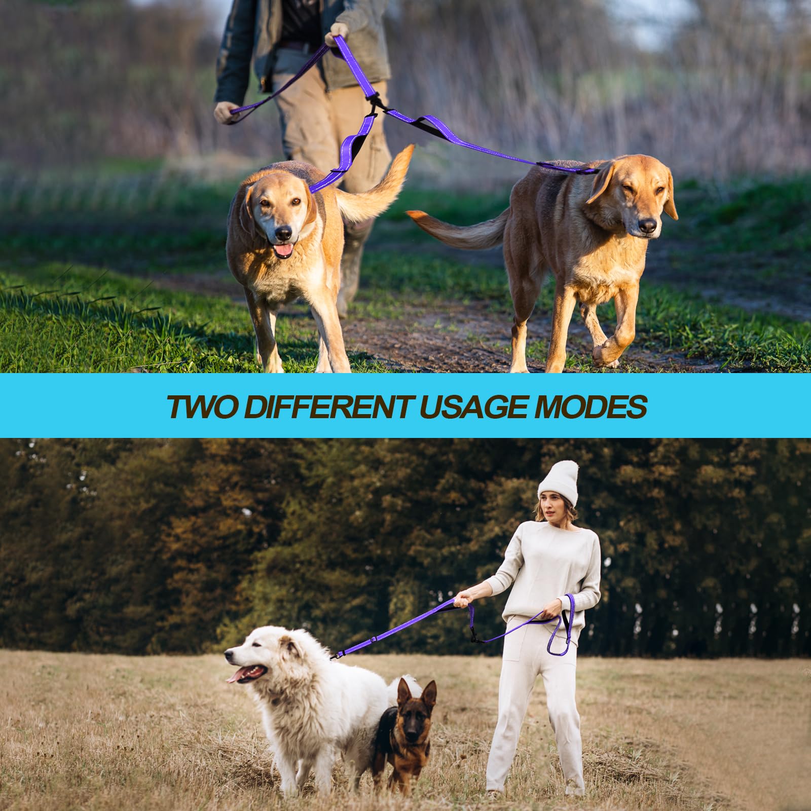 PetBonus dual leash includes collapsible bowl for hydration