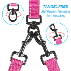 PetBonus leash showing four padded handles for two-dog comfort.