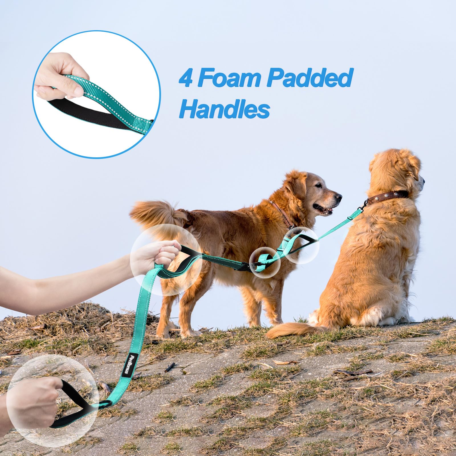 PetBonus leash with reflective stitching for safer nighttime visibility.