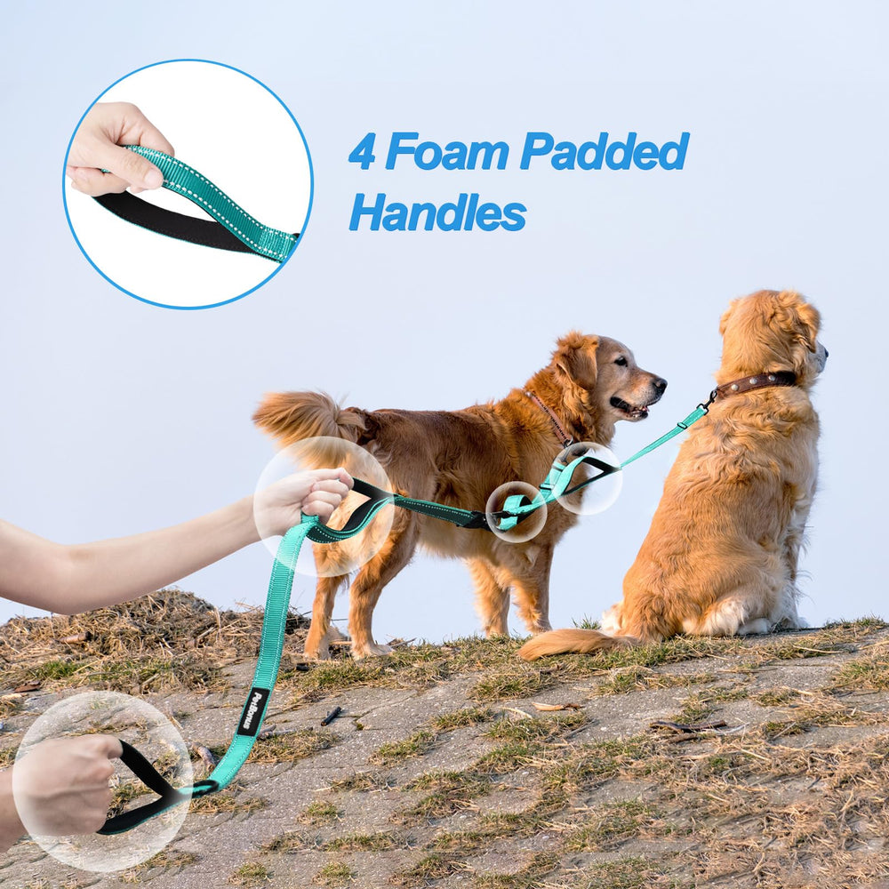 PetBonus leash with reflective stitching for safer nighttime visibility.