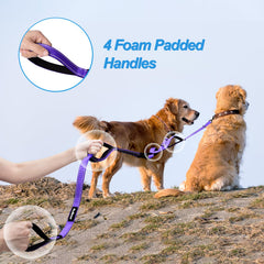 PetBonus leash shows reflective stitching for night visibility