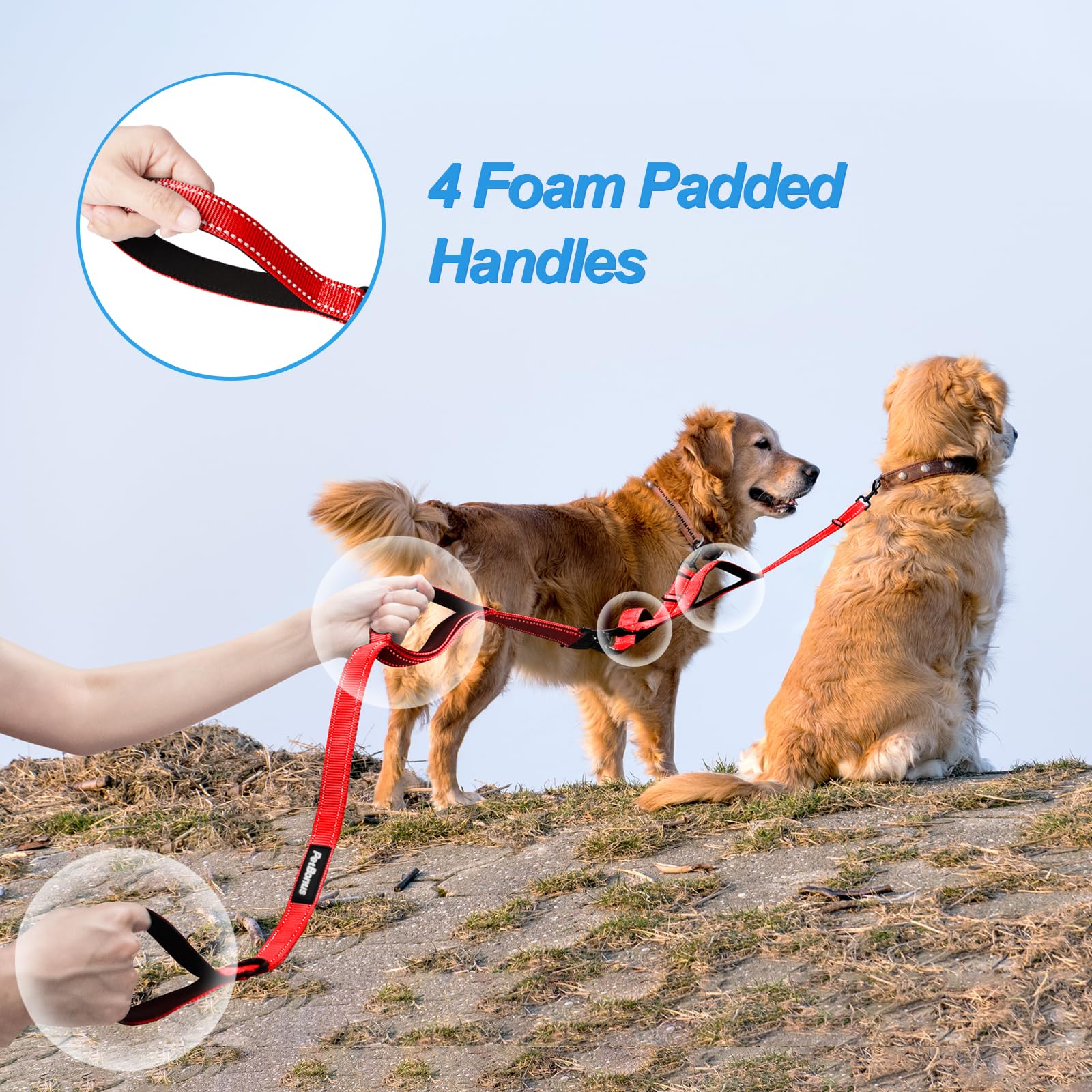 PetBonus leash with reflective stitching for night visibility
