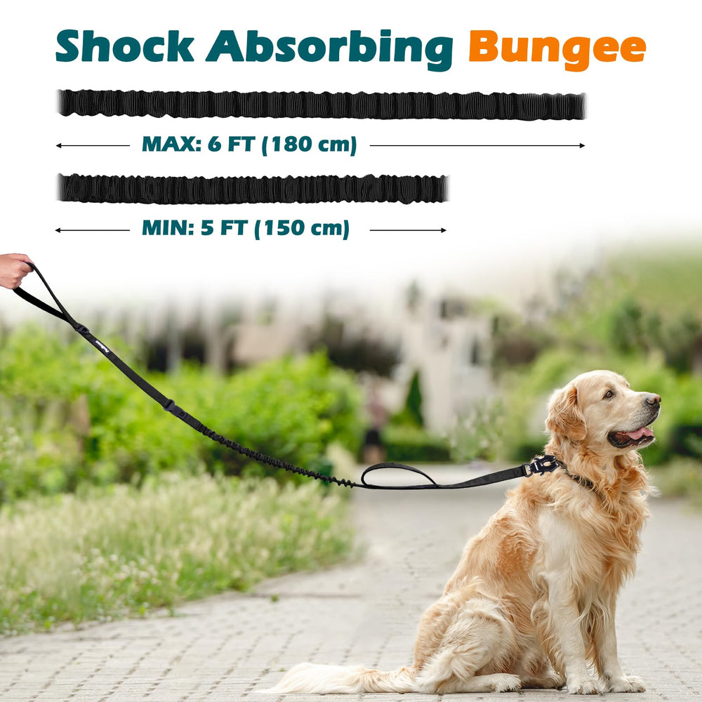 PetBonus elastic bungee absorbs shocks to reduce jerks.