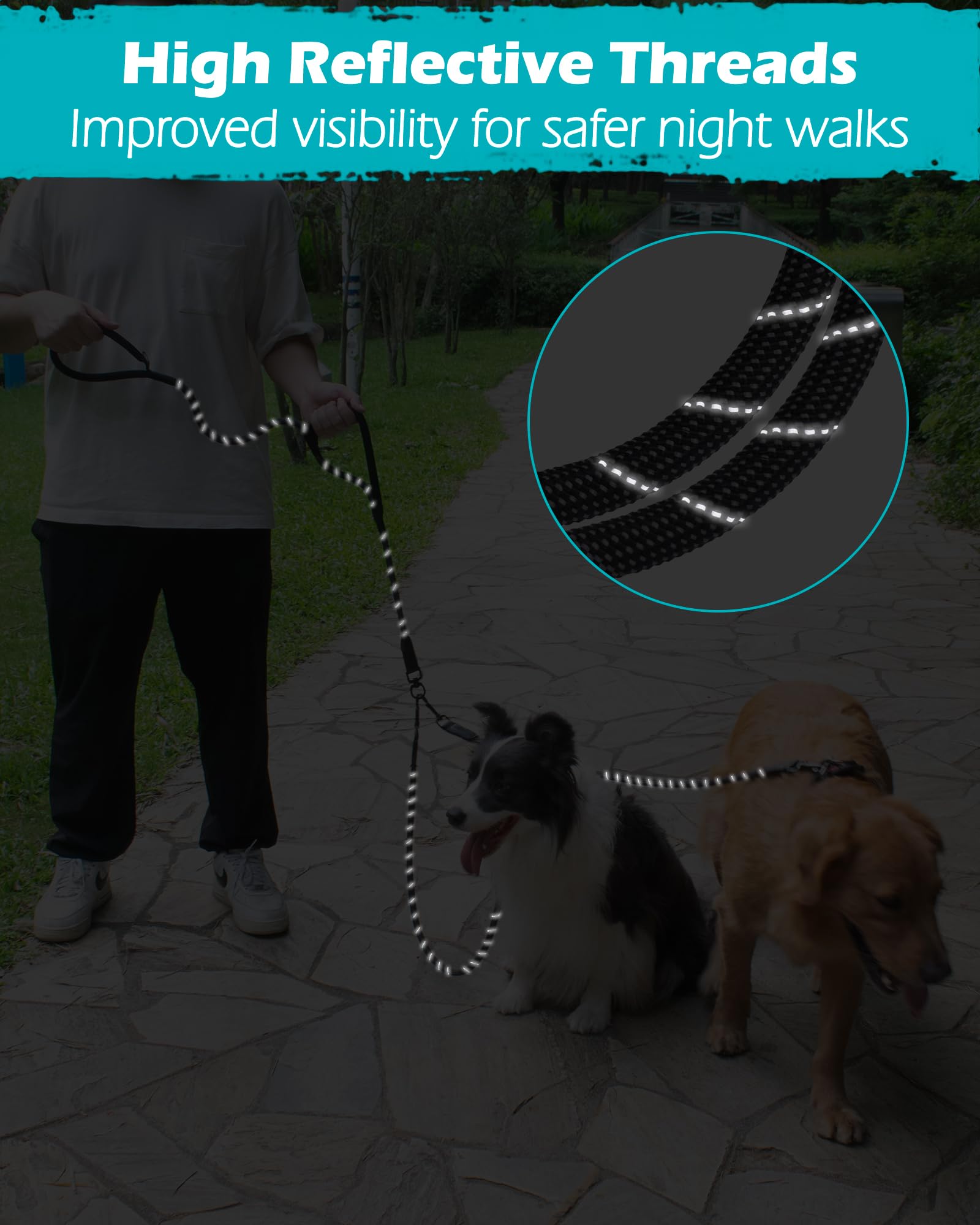 PetBonus lightweight dual leash at 13.2 oz for easy everyday use.