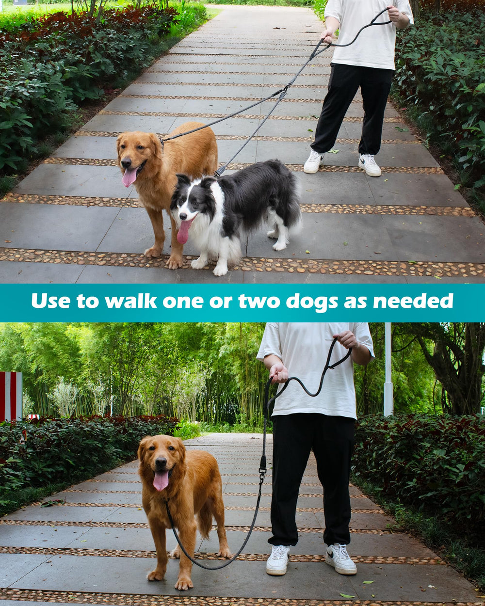 PetBonus lockable clasp and 360-degree swivel reduce twisting during transitions.
