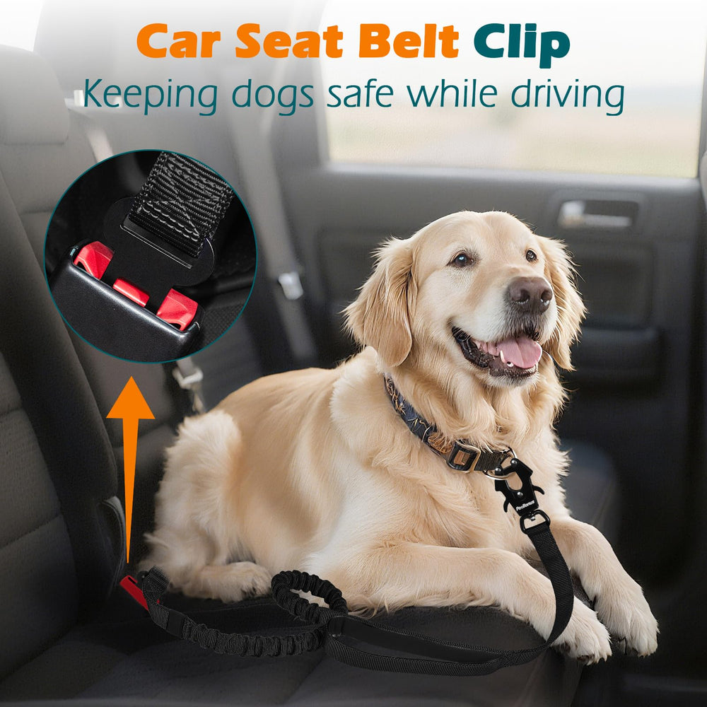 PetBonus car seatbelt attachment keeps dog secure in car.