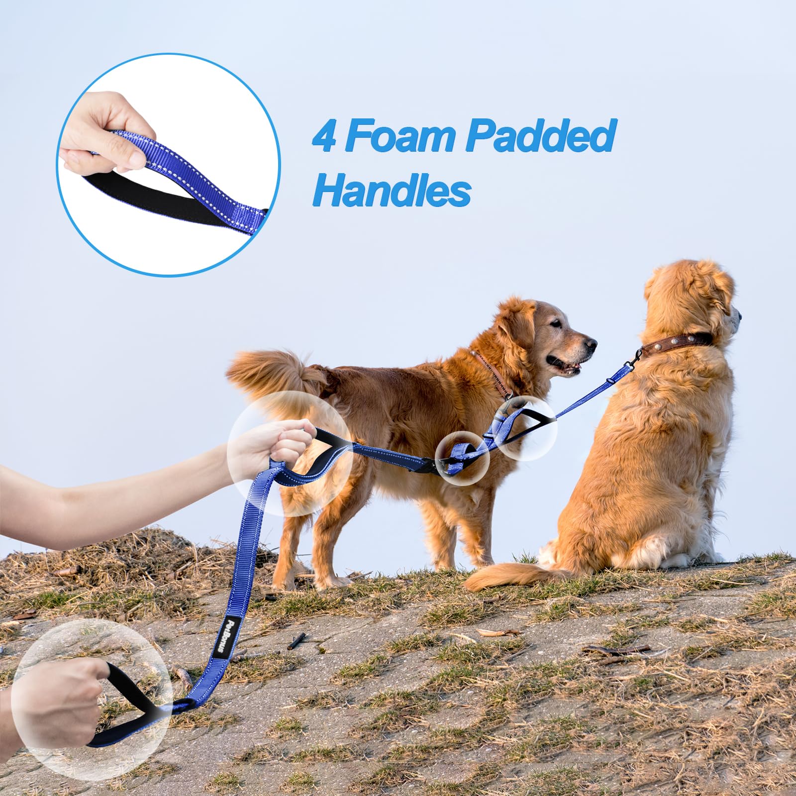 PetBonus reflective stitching increases visibility for night-time dog walks.