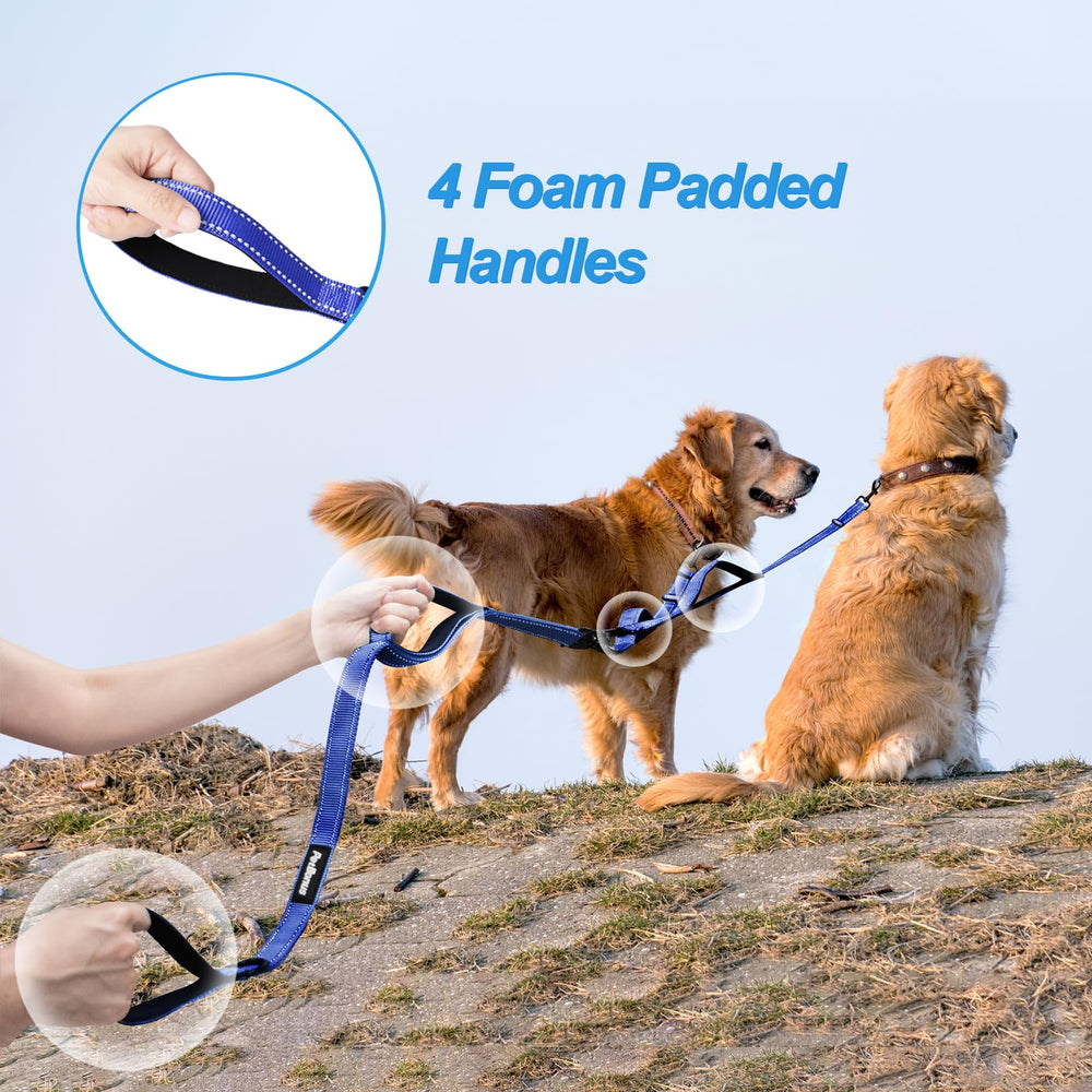 PetBonus reflective stitching increases visibility for night-time dog walks.