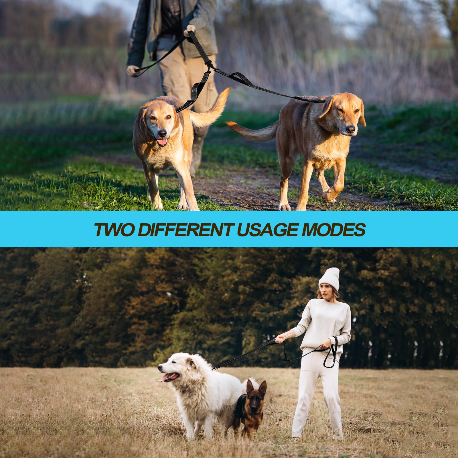 PetBonus leash shows reflective stitching for safer night walking.
