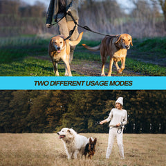PetBonus leash shows reflective stitching for safer night walking.