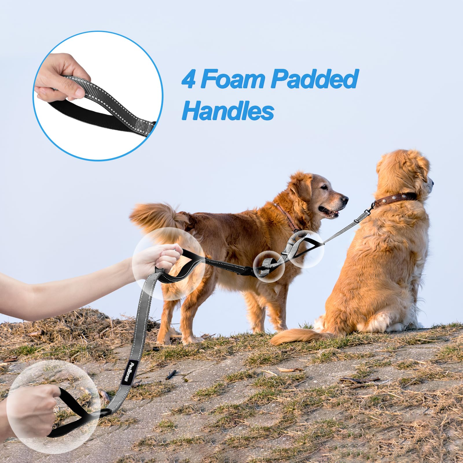 PetBonus leash highlights reflective stitching for night visibility