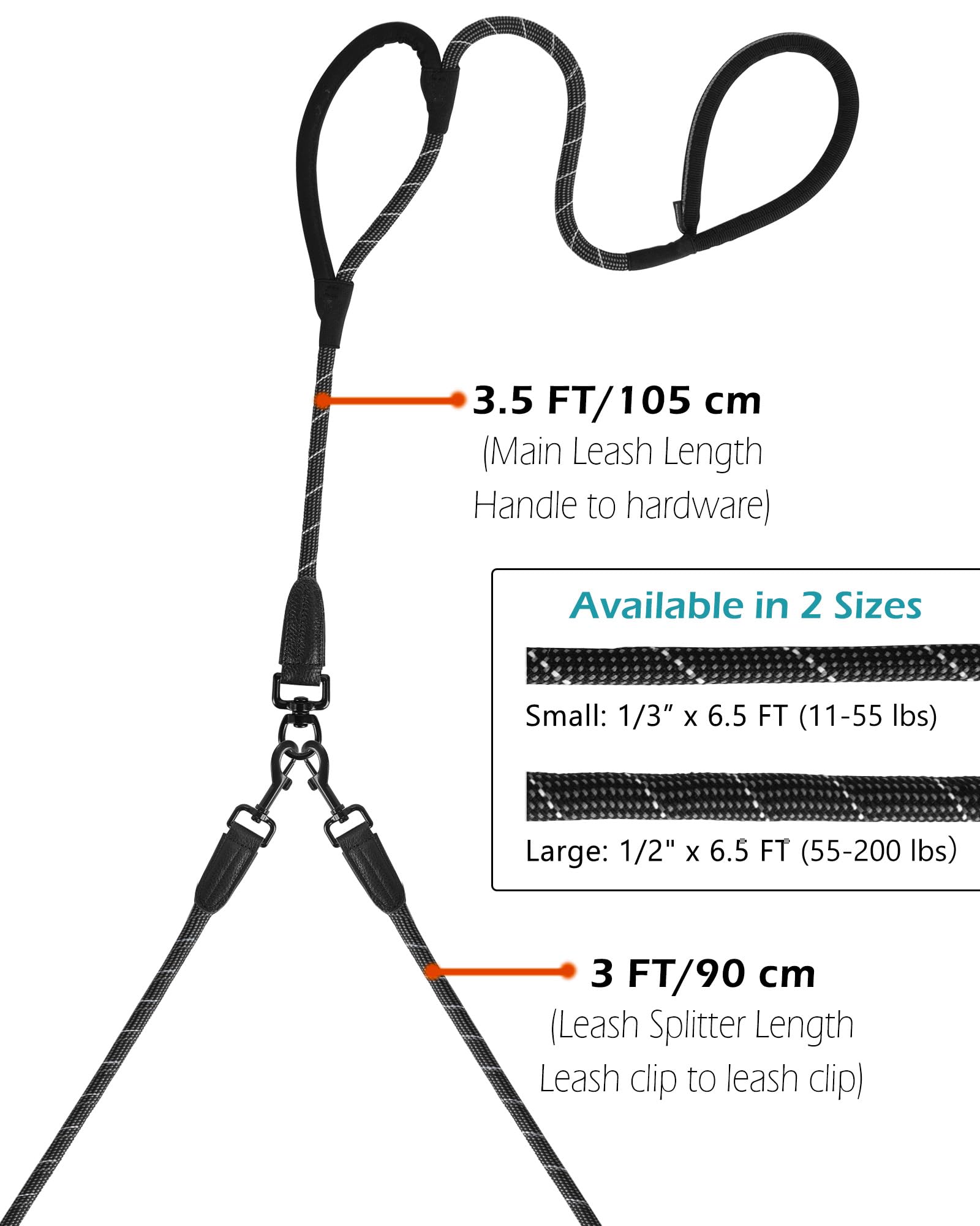 PetBonus two-dog leash setup helps manage two dogs safely during walks.