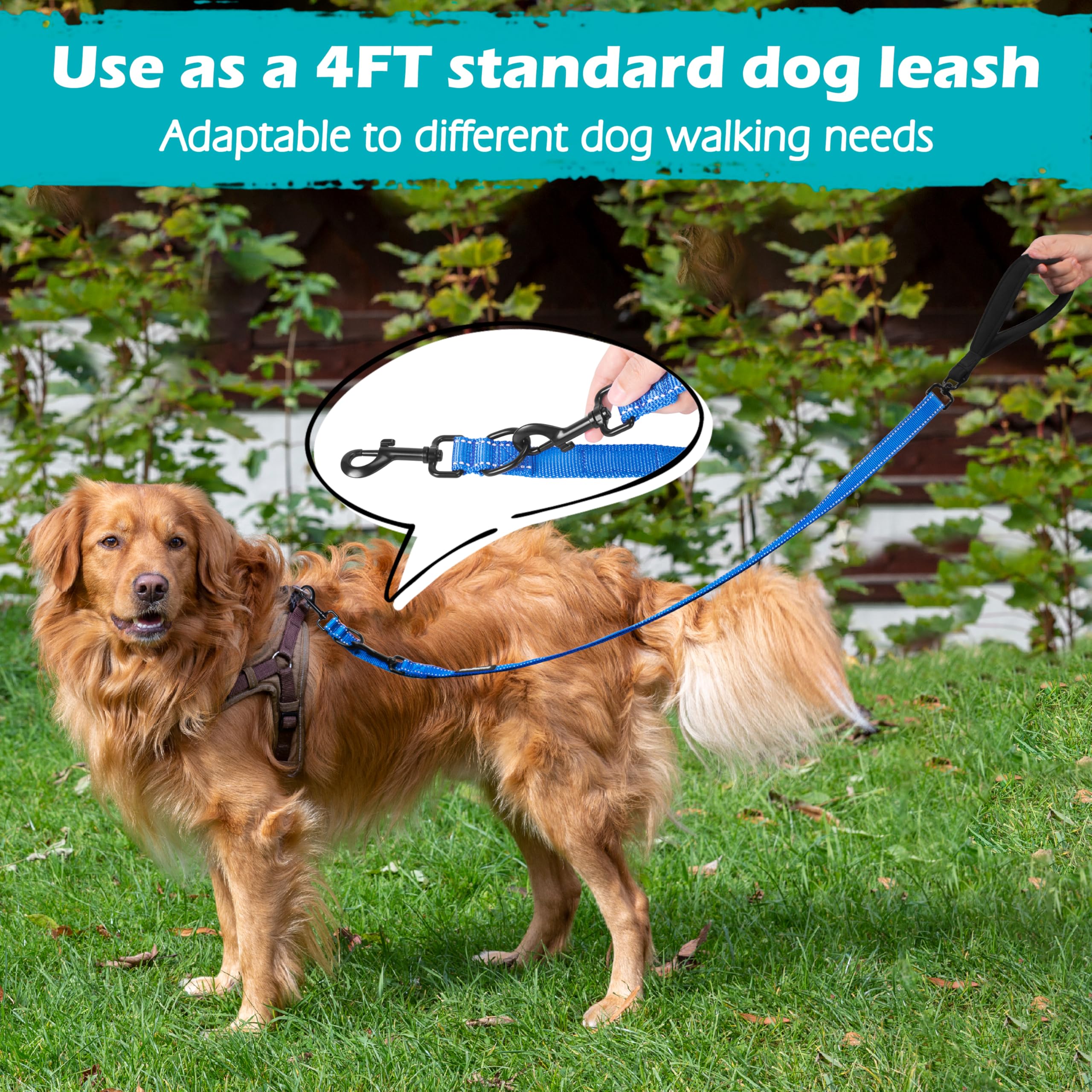 PetBonus blue two-point leash designed for medium to large dogs.