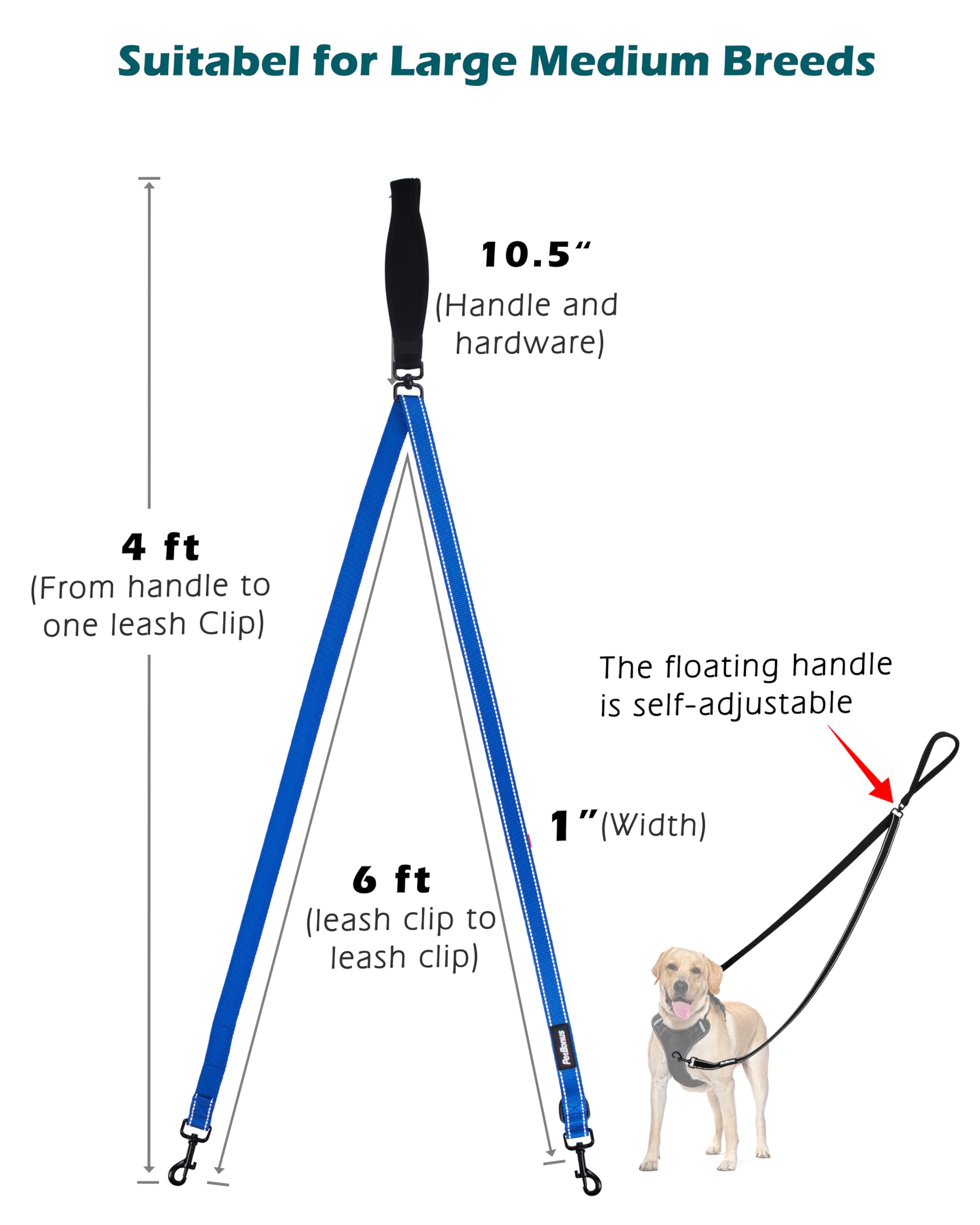 PetBonus two point leash converts to a 4 ft single leash for versatile use.