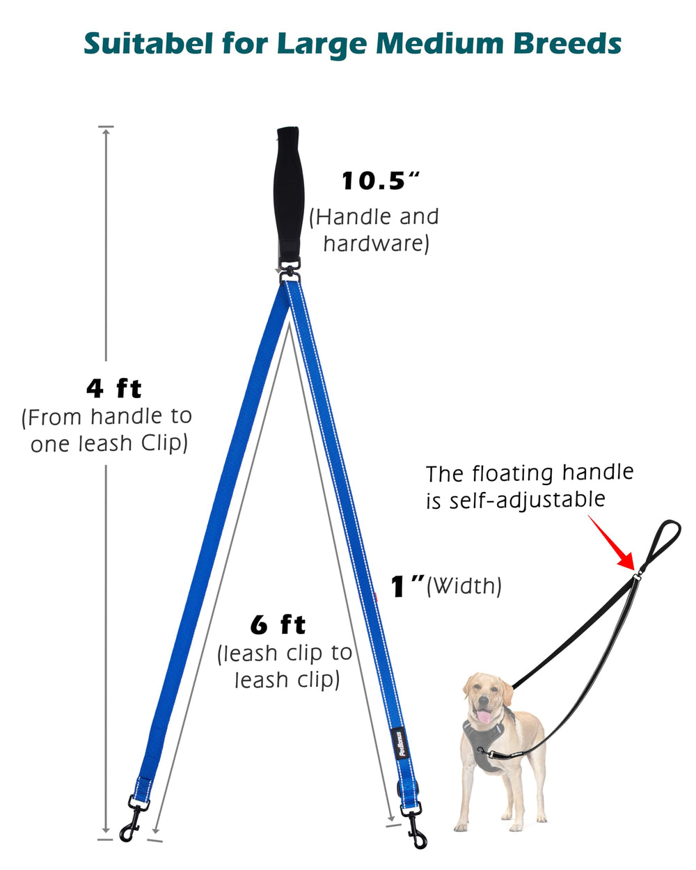 PetBonus two point leash converts to a 4 ft single leash for versatile use.