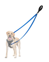 PetBonus Two Point Control Leash with dual clips guiding front control for easy walking.