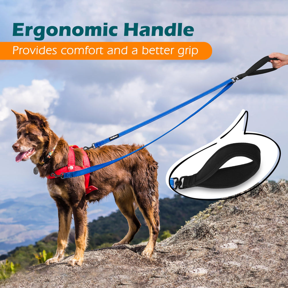 PetBonus leash highlights reflective stitching for safer night walks.