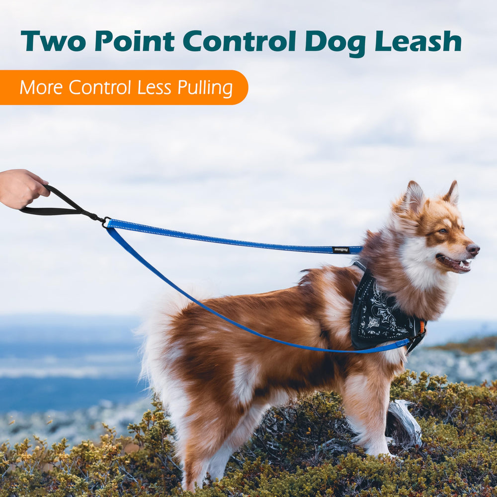 PetBonus leash shows soft padded handle for comfortable long walks.