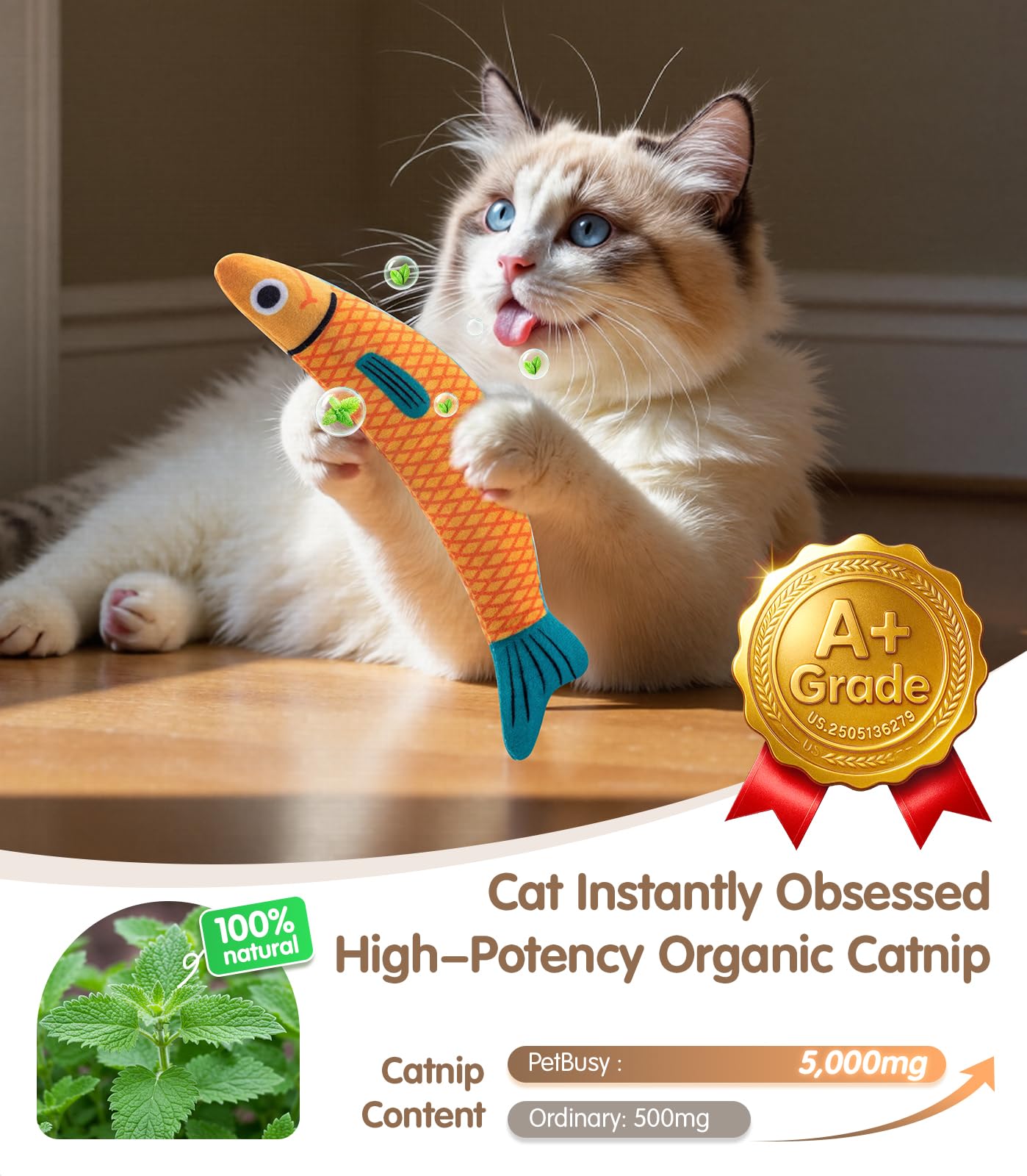 PetBusy catnip-filled interior close-up promotes pounce and play exploration.