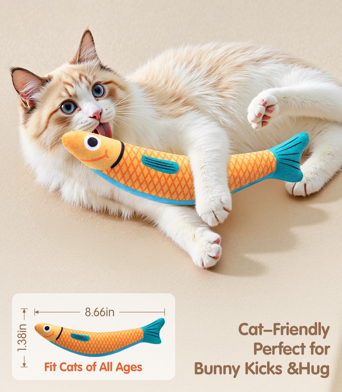 PetBusy three-pack display demonstrates shared play for cats and kittens.