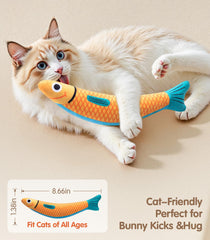 PetBusy three-pack display demonstrates shared play for cats and kittens.