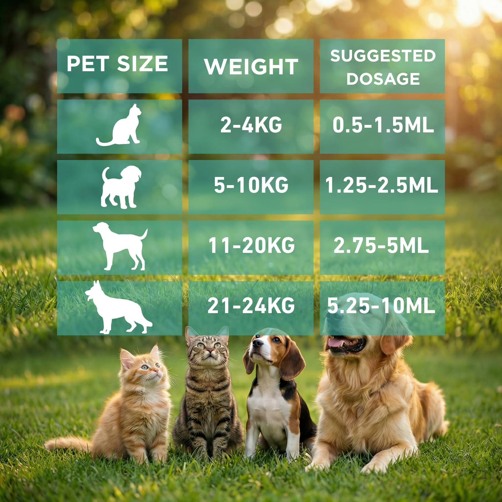Petcci dewormer for puppies and kittens shown for gentle administration.